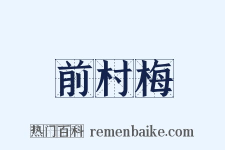 前村梅是什么意思的图片